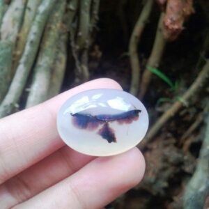 Mustika Alap-Alap Wulung