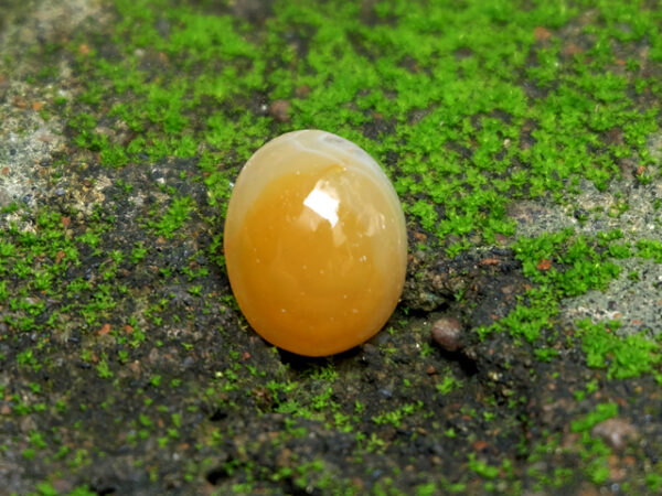 Mustika Bumi Antarala - Gambar 2