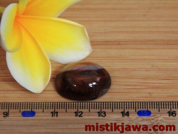 Mustika Cengkar Pelarisan - Gambar 3