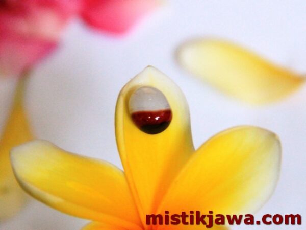 Mustika Gendam Asmara - Gambar 2