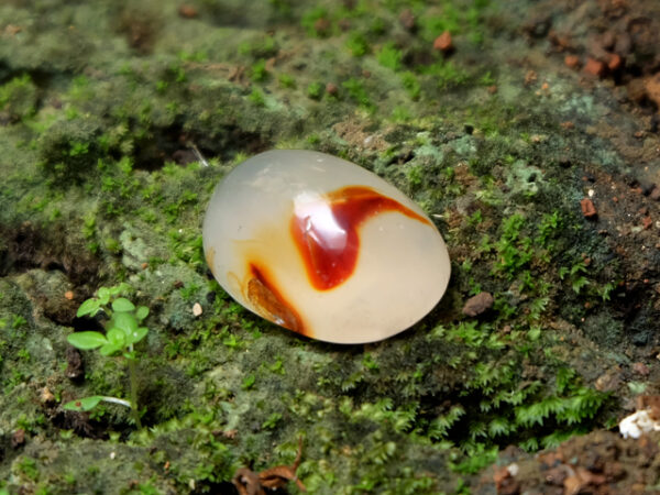 Mustika Inggil Jumantara