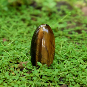 Mustika Jaya Badra