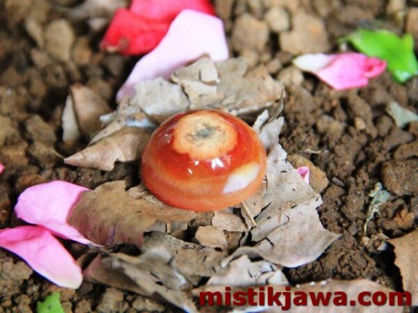 Mustika Kalanjana - Gambar 3