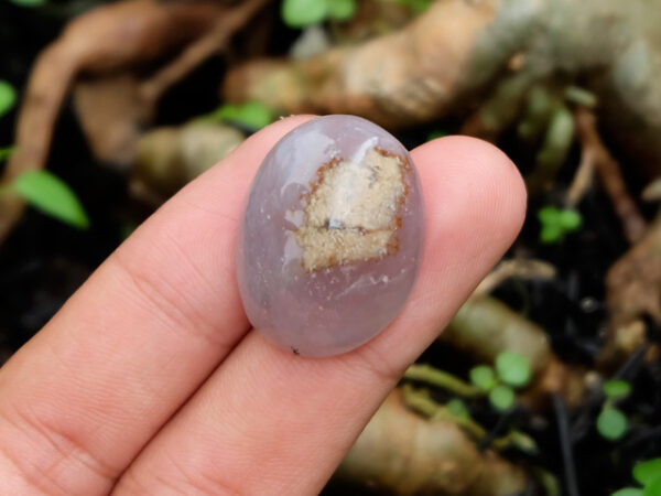 Mustika Kyai Sepanjang - Gambar 2