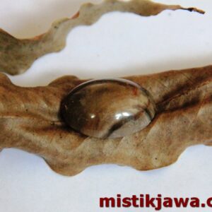 Mustika Senggoro Macan